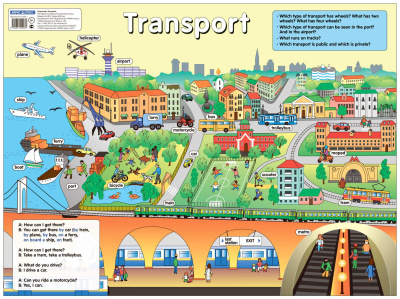 Transport. Транспорт. Наглядное пособие